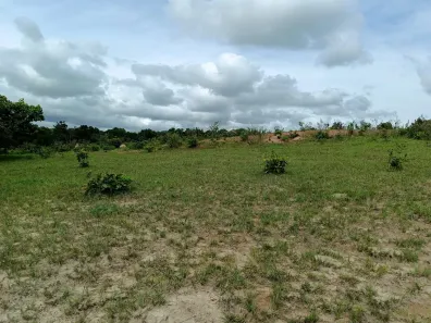 Fazenda/Sítio à venda, 340000m² no , Rio Negro