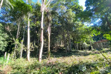 Lote/Terreno à venda, 2860m² no Praia do Estaleiro, Balneário Camboriú