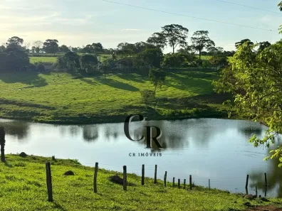 Fazenda/Sítio à venda, 40m² no Área Rural de Trindade, Trindade