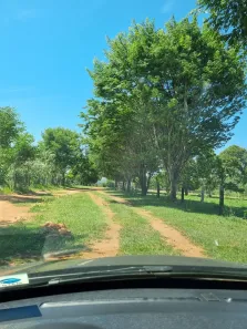 com 5 Quartos à venda, 400m² no Junco, Cáceres
