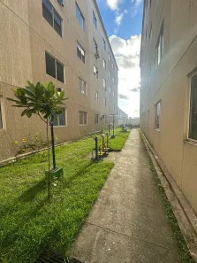 Apartamento com 2 Quartos à venda, 50m² no Maranguape I, Paulista