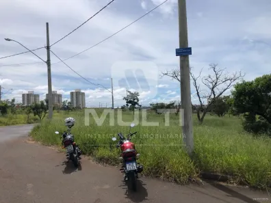 Lote/Terreno com 1 Quarto para alugar, 567m² no Loteamento Luizote de Freitas IV, Uberlândia