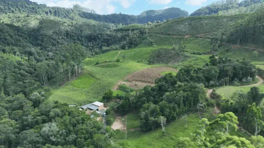Fazenda/Sítio com 2 Quartos à venda, 78000m² no Centro, Vitor Meireles