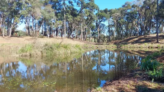 Fazenda/Sítio à venda, 20000m² no Bateias de Baixo, Campo Alegre