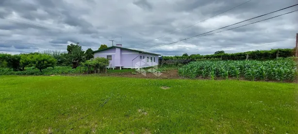 Fazenda/Sítio à venda, 31000m² no Tuiuti, Bento Gonçalves