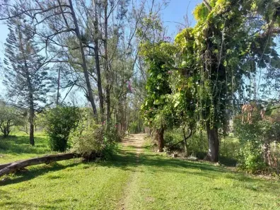 Fazenda/Sítio com 3 Quartos à venda, 18000m² no Papucaia, Cachoeiras de Macacu