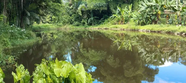 Lote/Terreno à venda, 44000m² no , Morretes