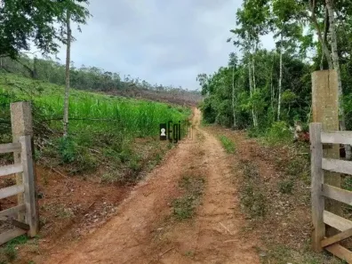 Fazenda/Sítio com 1 Quarto à venda, 14000m² no Centro, Pedro Teixeira