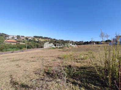 Lote/Terreno à venda, 480m² no Centro, Toledo