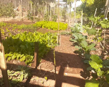 Lote/Terreno à venda, 444m² no Residencial Porto Seguro, Salto