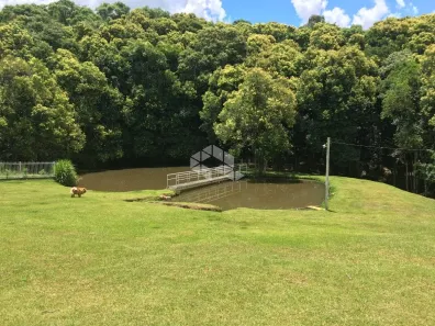 Fazenda/Sítio com 3 Quartos à venda, 20000m² no Forqueta, Caxias do Sul