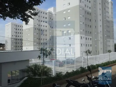 Apartamento com 2 Quartos à venda, 44m² no Recreio São Judas Tadeu, São Carlos
