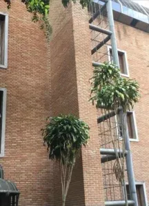 Prédio Comercial com 1 Quarto à venda, 1244m² no Casa Verde, São Paulo