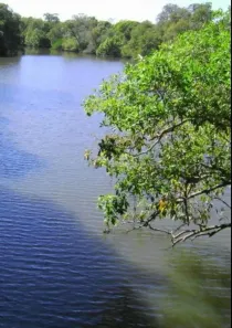 Fazenda/Sítio com 2 Quartos à venda, 1100000m² no , Cocalinho