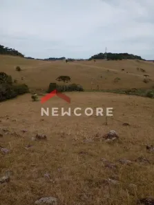 Lote/Terreno à venda, 2380000m² no Centro, São Francisco de Paula