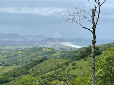 Lote/Terreno à venda, 20653m² no Morro do Ribeirão, Paulo Lopes