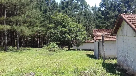 Fazenda/Sítio à venda, 150m² no Chácara Santo Amaro, São Paulo