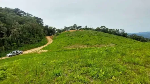 Lote/Terreno à venda, 80000m² no , Águas Mornas