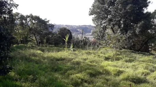 Imóvel Comercial com 2 Quartos à venda, 225m² no Jardim Santa Bárbara, Embu das Artes