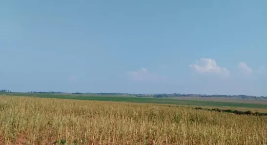 Fazenda/Sítio com 1 Quarto à venda, 21054000m² no , Teodoro Sampaio