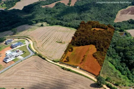 Fazenda/Sítio à venda, 36300m² no Vila Mariano Torres, Campo Largo