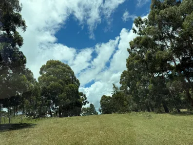 Lote/Terreno à venda, 100000m² no , Urubici
