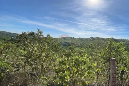 Fazenda/Sítio à venda, 20000m² no Setor Habitacional Jardim Botânico, Brasília