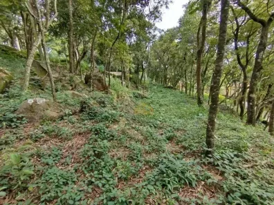 Lote/Terreno à venda, 1925m² no Lopes, Valinhos
