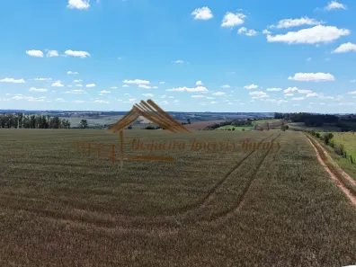 Fazenda/Sítio à venda, 179080m² no Área Rural de Avaré, Avaré