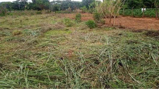 Lote/Terreno à venda, 1000m² no Parque Residencial Tancredi, Americana