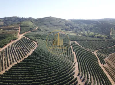 Fazenda/Sítio com 10 Quartos à venda, 406m² no Centro, Caconde