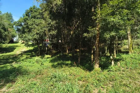 Fazenda/Sítio à venda, 3000m² no Área Rural (Espigão das Antas), Mandirituba