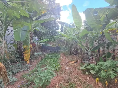 Lote/Terreno à venda, 392m² no Vila Mathiesen, Americana