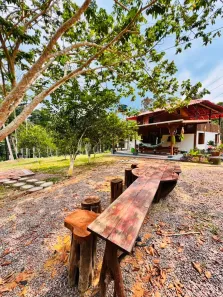 Fazenda/Sítio com 4 Quartos à venda, 30000m² no Balbina, Presidente Figueiredo