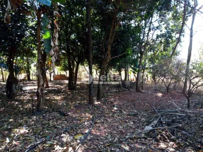 Fazenda/Sítio à venda, 50000m² no Área Rural de Uberlândia, Uberlândia