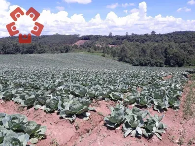Lote/Terreno à venda, 700m² no Figueira, Ibiúna