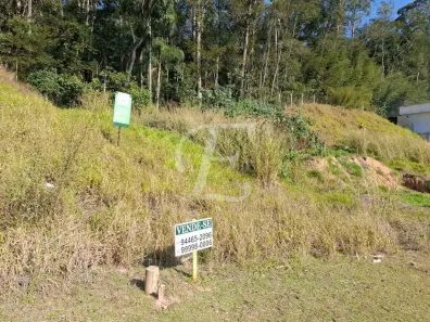 Lote/Terreno à venda, 137m² no Parque Alexandre, Cotia