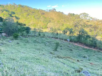 Fazenda/Sítio à venda, 30000m² no , Dom Viçoso