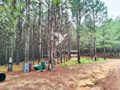 Fazenda/Sítio com 1 Quarto à venda, 5493400m² no São Miguel Arcanjo, São Miguel Arcanjo