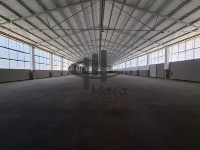 Galpão/Depósito/Armazém para alugar, 4410m² no Parque Novo Mundo, São Paulo