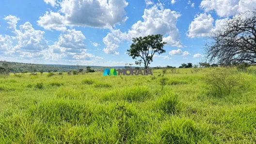 Fazenda/Sítio com 1 Quarto à venda, 273m² no Andrequicé, Três Marias