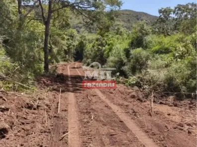 Fazenda/Sítio à venda, 500m² no , Goiás