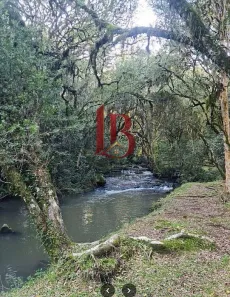 Lote/Terreno à venda, 21398m² no Santa Lúcia do Piaí, Caxias do Sul