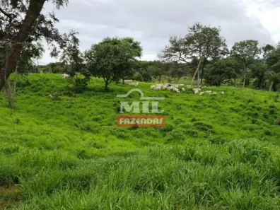 Fazenda/Sítio à venda, 1m² no , Baliza