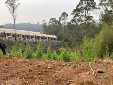 Lote/Terreno à venda, 5000m² no Chácara Ondas Verdes, Cotia