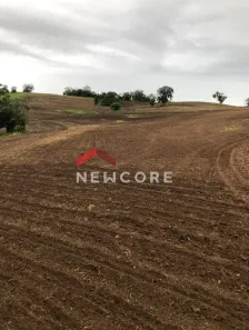 Fazenda/Sítio com 4 Quartos à venda, 4000m² no Centro, Itapetininga