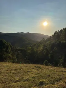 Fazenda/Sítio com 3 Quartos à venda, 55m² no , Delfim Moreira