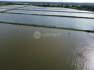 Fazenda/Sítio com 2 Quartos à venda, 355000m² no , Nísia Floresta