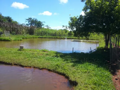 Fazenda/Sítio com 3 Quartos à venda, 260000m² no Área Rural de Uberlândia, Uberlândia