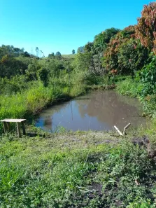 Fazenda/Sítio com 3 Quartos à venda, 5000m² no , Desterro de Entre Rios